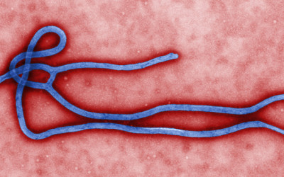 2014 Ebola Hemorrhagic Fever Outbreak